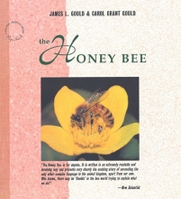 Cover art for The Honey Bee (Scientific American Library Series)