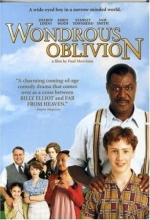 Cover art for Wondrous Oblivion