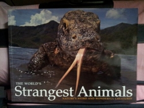 Cover art for The World's Strangest Animals (Nature's weird and wonderful creatures)