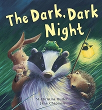 Cover art for Dark, Dark Night