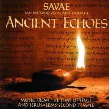 Cover art for Ancient Echoes