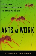 Cover art for Ants At Work: How An Insect Society Is Organized