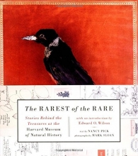 Cover art for The Rarest of the Rare: Stories Behind the Treasures at the Harvard Museum of Natural History