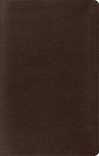 Cover art for ESV Value Thinline Bible (TruTone, Coffee)