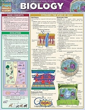 Cover art for Biology (Quick Study: Academic)