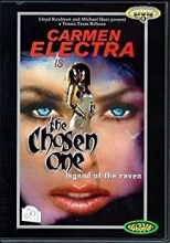 Cover art for The Chosen One: Legend of the Raven