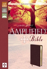 Cover art for Amplified Bible, Large Print