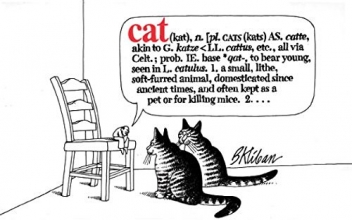 Cover art for Cat