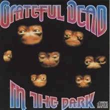 Cover art for In the Dark