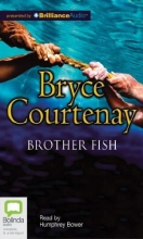 Cover art for Brother Fish