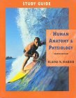Cover art for Study Guide for Human Anatomy & Physiology