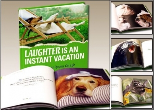 Cover art for Laughter is an Instant Vacation
