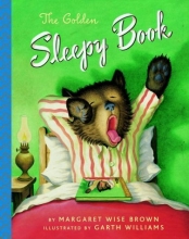 Cover art for The Golden Sleepy Book (A Golden Classic)