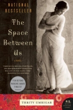 Cover art for The Space Between Us: A Novel (P.S.)