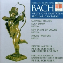 Cover art for Bach: Weltliche Kantaten/Secular Cantatas