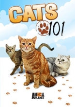 Cover art for Cats 101