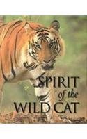 Cover art for Spirit of the Wildcat