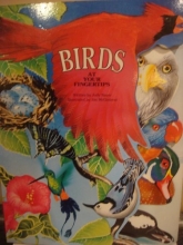 Cover art for Birds (At Your Fingertips (McClanahan))