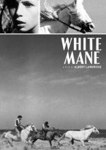 Cover art for White Mane 