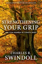 Cover art for Strengthening Your Grip: How to Be Grounded in a Chaotic World