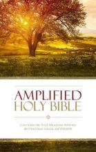 Cover art for Amplified Holy Bible, Hardcover: Captures the Full Meaning Behind the Original Greek and Hebrew