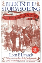 Cover art for Been in the Storm So Long: The Aftermath of Slavery