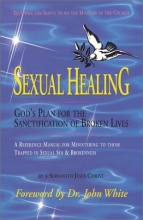 Cover art for Sexual Healing: God's Plan for the Sanctification of Broken Lives