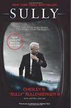 Cover art for Sully: My Search for What Really Matters