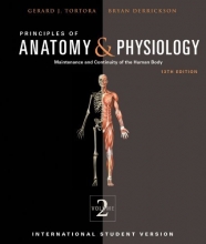 Cover art for Principles of Anatomy and Physiology (Principles of Anatomy & Physiology: Maintenance and Continuity of the Human Body, Volume 2, 2)