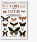 Cover art for Butterflies and Moths (Eyewitness Handbooks)