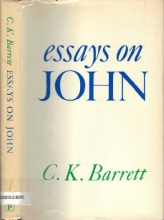 Cover art for Essays on John