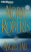 Cover art for Angels Fall