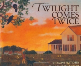 Cover art for Twilight Comes Twice