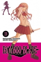 Cover art for Bamboo Blade, Vol. 3
