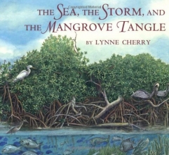 Cover art for The Sea, the Storm, and the Mangrove Tangle