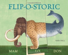 Cover art for Flip-o-storic