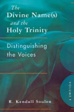 Cover art for The Divine Name(s) and the Holy Trinity: Distinguishing the Voices