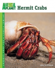 Cover art for Hermit Crabs (Animal Planet Pet Care Library)
