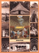 Cover art for Shelter