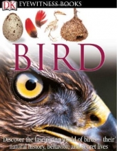 Cover art for Bird (DK Eyewitness Books)