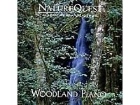 Cover art for Woodland Piano