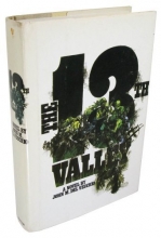 Cover art for The 13th Valley : a novel