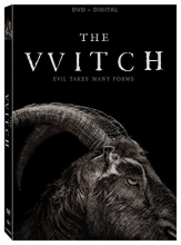 Cover art for The Witch [DVD + Digital]