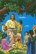 Cover art for KJV Children's Rainbow Bible (Childrens 603n)