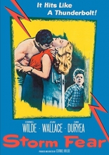 Cover art for Storm Fear