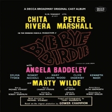 Cover art for Bye Bye Birdie (1961 London Cast)