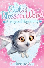 Cover art for The Owls of Blossom Wood: A Magical Beginning
