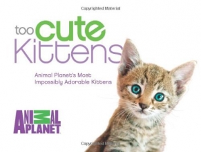 Cover art for Too Cute Kittens: Animal Planet's Most Impossibly Adorable Kittens