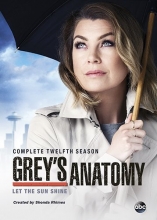 Cover art for Grey's Anatomy: Season 12
