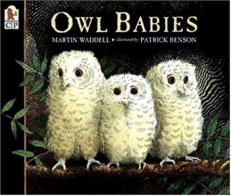 Cover art for Owl Babies